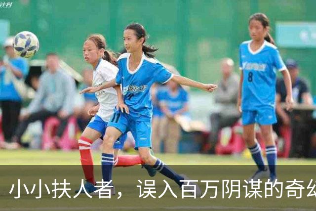 小小扶人者，误入百万阴谋的奇幻冒险